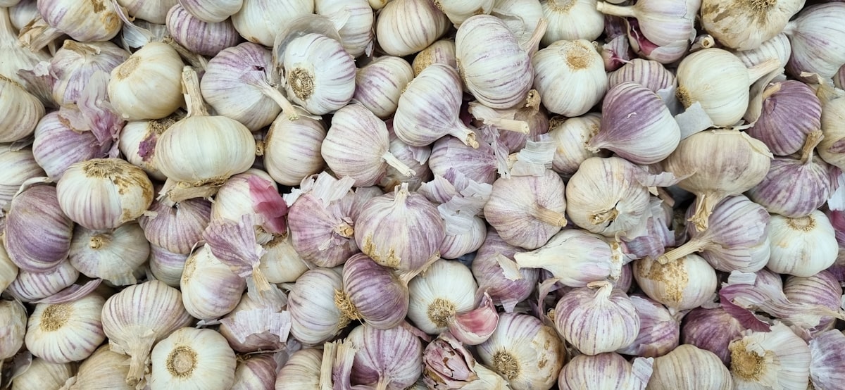 Comunità di lettori che condivide ricette con aglio biologico