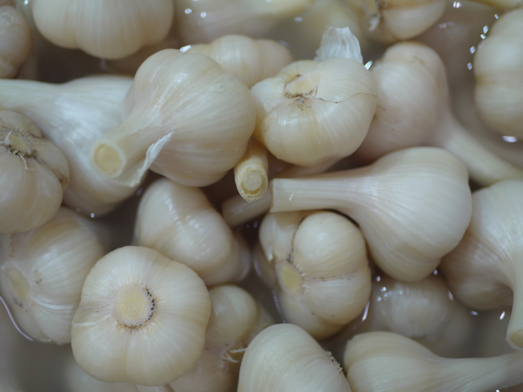 Aglio biologico fresco
